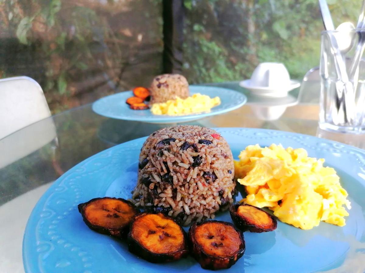 Rustico Arenal B&B La Fortuna Екстериор снимка