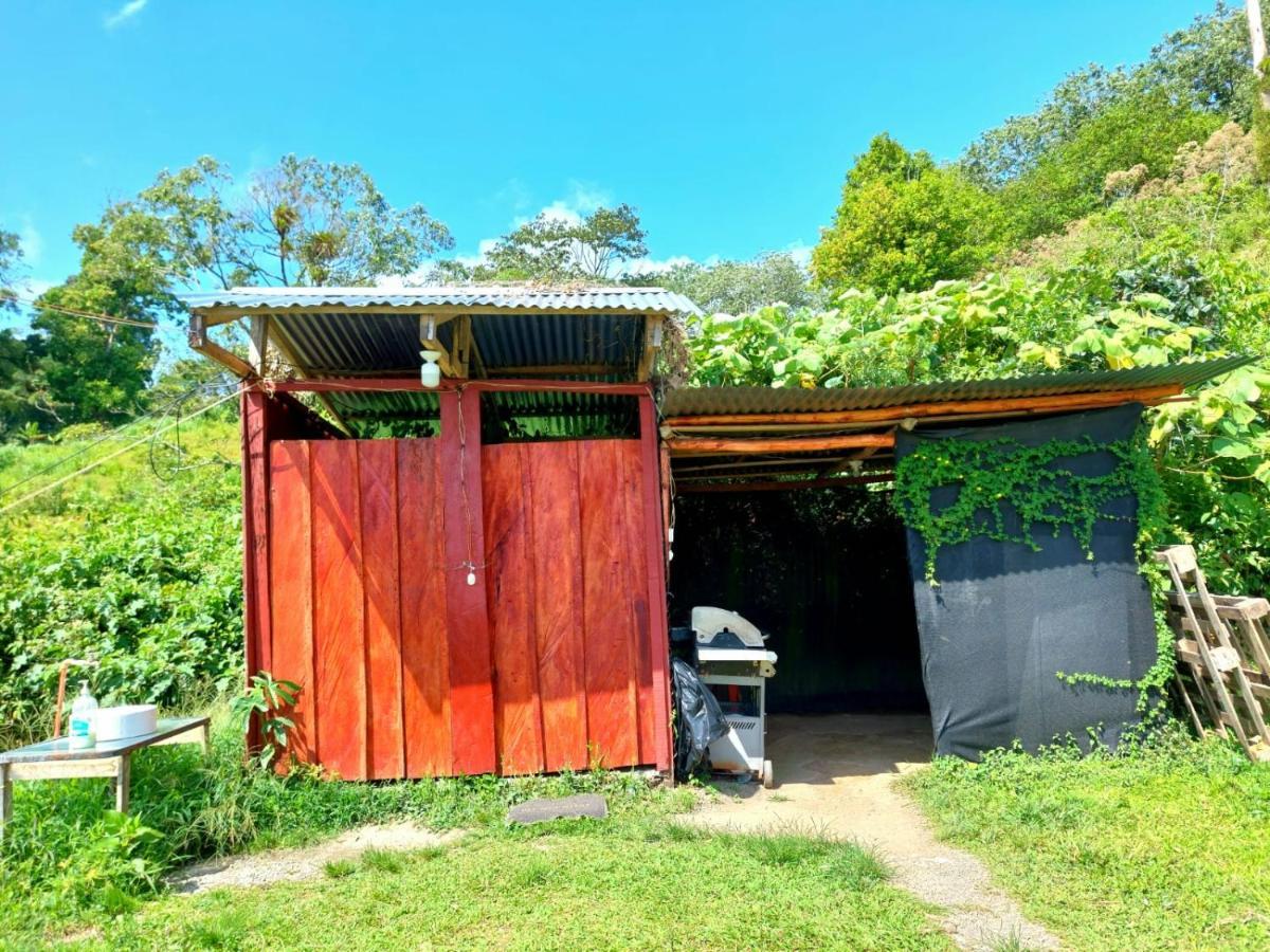 Rustico Arenal B&B La Fortuna Екстериор снимка