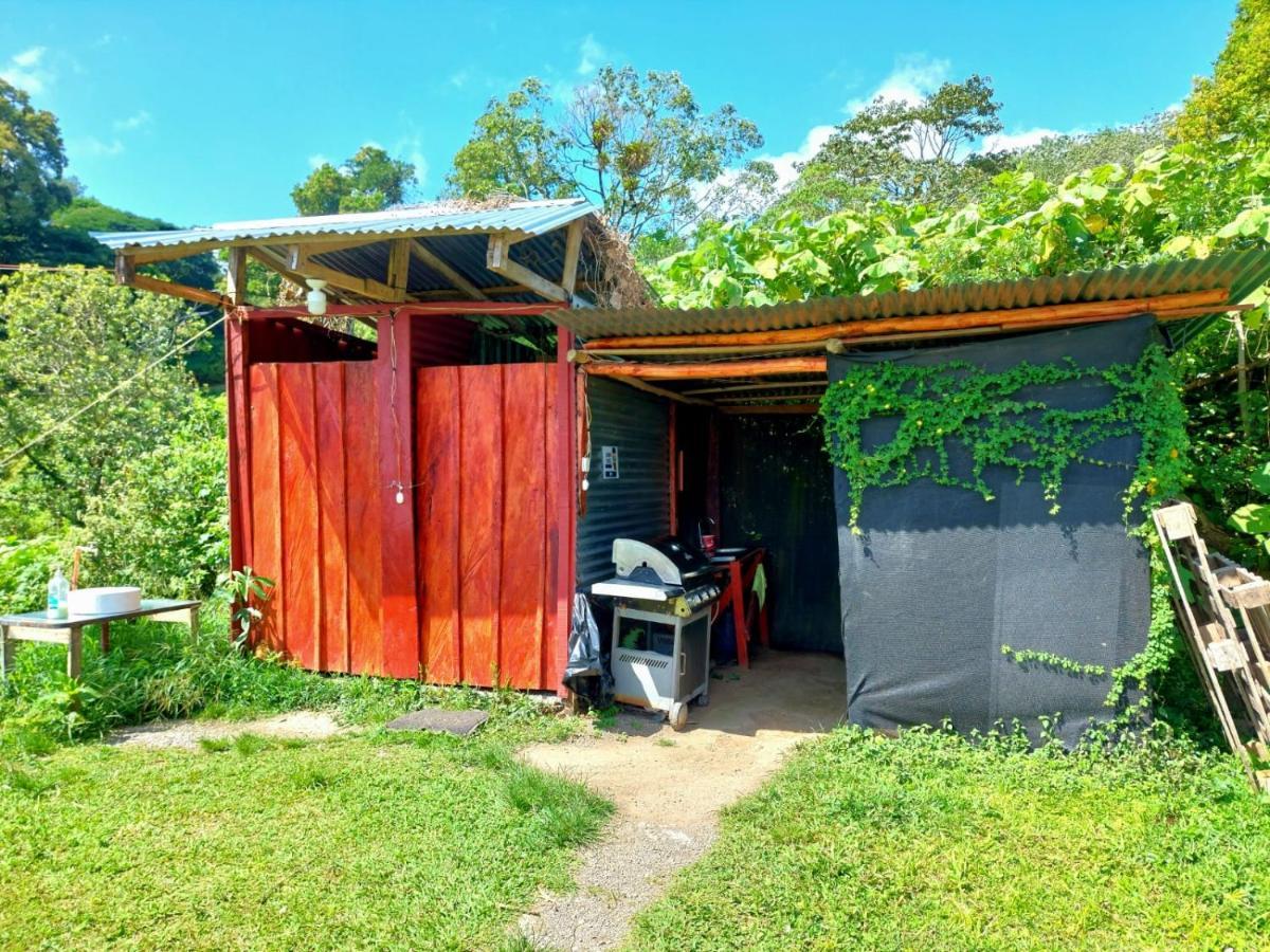 Rustico Arenal B&B La Fortuna Екстериор снимка